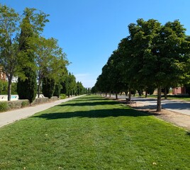 Paisaje veraniego. Pradera de césped bordeada de árboles en verano en parque público