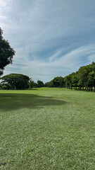 Fototapeta premium Where Green Reigns, A Lush Landscape Bursting with Life, Peace, and Possibility.