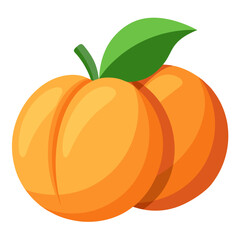 vector illustration of a peaches