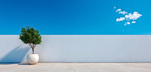 A solitary green tree in a white pot stands against a textured white wall under a bright blue sky with scattered clouds