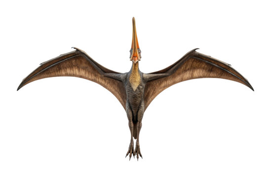 Pteranodon with outstretched wings in flight