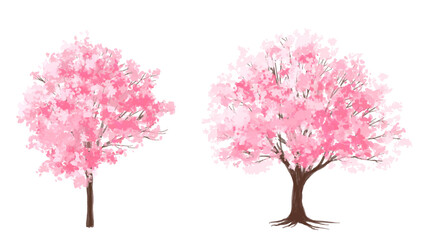 pink cherry tree, Vector of Sakura tree or blooming  side view isolated on white background ,watercolor tree elevation for landscape concept,environment scene,eco design,blossom garden for spring