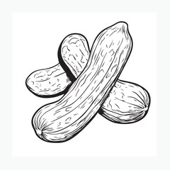 vector illustration of a peanuts