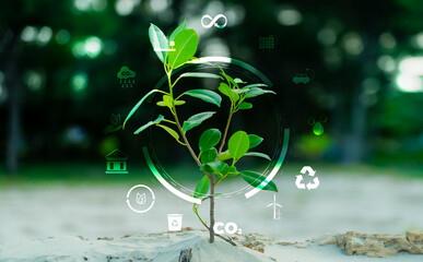 3D illustration Renewable energy concept Earth Day or environmental protection Protect the forests that grow on the ground and help save the planet.