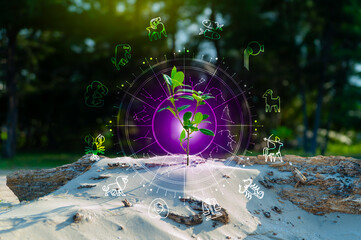 Zodiac signs and astrology with constellations, concepts, predictions, horoscopes, beliefs