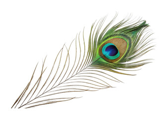 Obraz premium Close-up of a vibrant peacock feather with eye pattern design