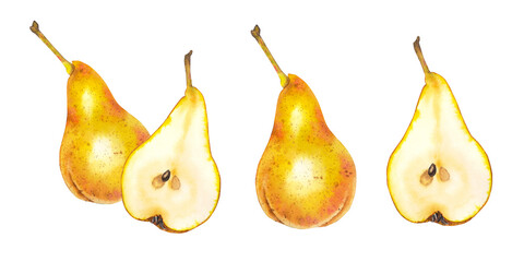 Watercolor illustration of a yellow Bartlett pear and a sliced half set. Suitable for packaging juice or jam, recipes, farm and autumn-themed projects
