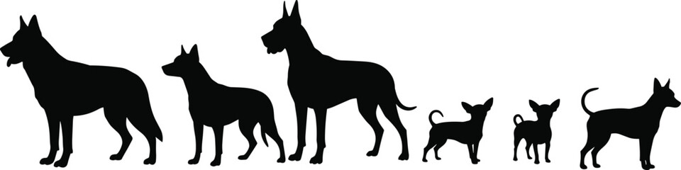 Silhouettes of six dog breeds lined up by size, standing in profile, vector illustration of pets in black design collection