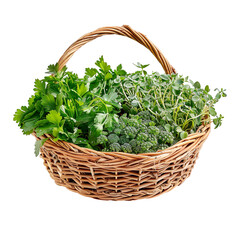 Fototapeta premium Wicker basket filled with fresh parsley thyme and broccoli florets isolated on transparent background