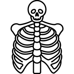 X ray line art vector illustration 