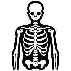 X ray line art vector illustration 