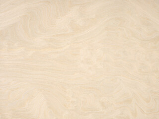 Swirling sands of time captured in wood, a delicate dance of alabaster and cream in nature's design
