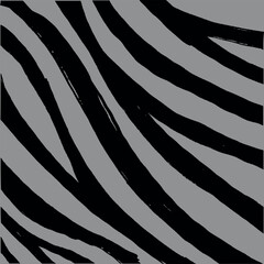 Irregular Zebra Stripe Pattern in Black and Gray on Seamless Transparent Background