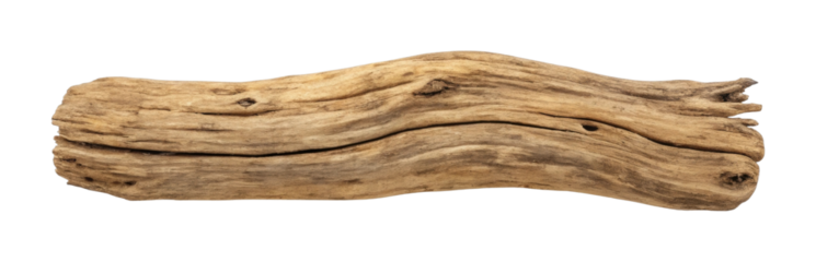 Detailed close-up of natural driftwood piece with unique texture