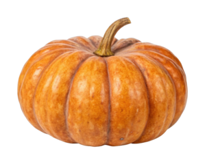 Ripe pumpkin with textured surface and curved stem close-up