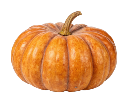Ripe pumpkin with textured surface and curved stem close-up