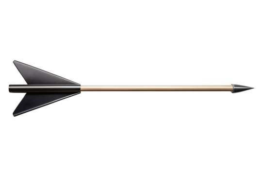 Crafted Arrow Precision Archery Tool for Target Practice and Hunting, Aiming Towards Success and Accuracy on Isolated White