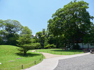 夏の観光地京都御苑の和風庭園の風景