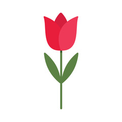 Tulip flower flat vector illustration on white background
