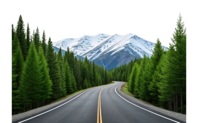 Scenic mountain road amidst lush green forest and snow-capped peaks