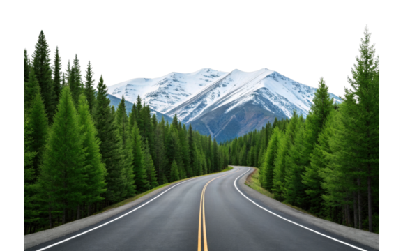 Scenic mountain road amidst lush green forest and snow-capped peaks