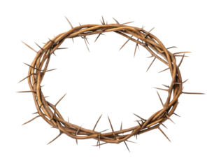 Crown of thorns with sharp spikes in circular formation
