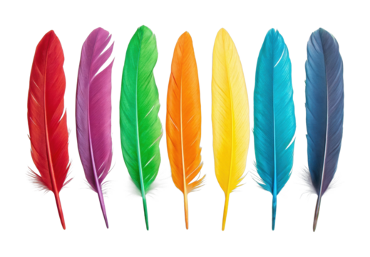 Vivid array of multicolored feathers in symmetrical arrangement