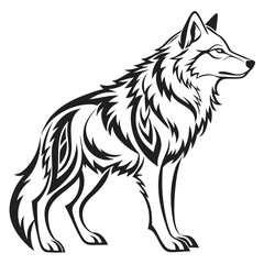 Obraz premium A wolf stands alert, looking to the side