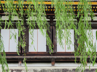 京都の観光名所三十三間堂の建物と緑の柳の風景