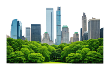 Skyscrapers rising above lush green park in urban metropolis