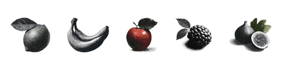 Vintage Fruit Illustrations Set. Retro Engraving Fruit Collection Illustration Isolated On Transparent Background