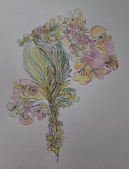 hand made sketch of flowers using black ink and colourful pens