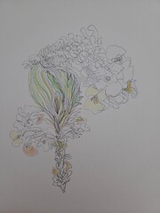flowers drawing by hands with using black ink and colour pens.