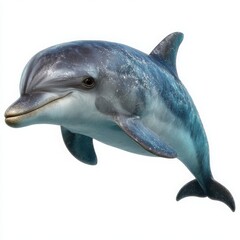Fototapeta premium A playful bottlenose dolphin leaps gracefully out of the water with a friendly smile