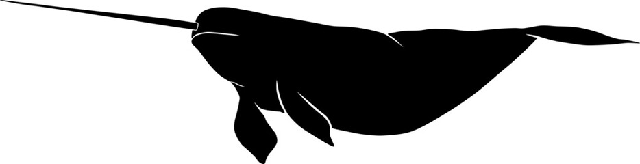 Narwhal © luis sandoval