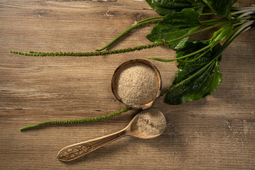 Exploring the benefits of psyllium fiber from plantago seeds for a healthy keto lifestyle