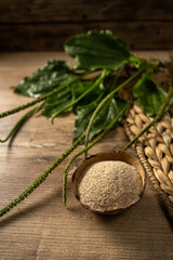 Discovering the benefits of psyllium fiber for a healthy keto lifestyle and natural nutrition...