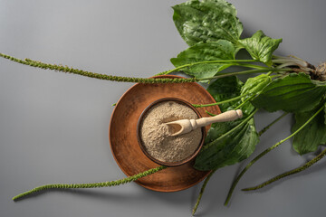 Discovering the benefits of psyllium as a versatile soluble fiber for health and nutrition