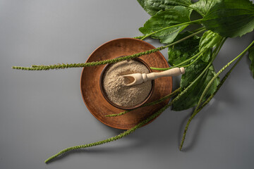 Psyllium husk powder on wooden plate surrounded by plant leaves and seeds, showcasing a natural...