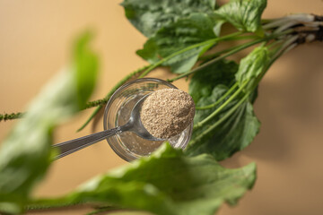 Exploring the nutritional benefits of psyllium seed husk in a natural setting