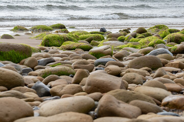 The shoreline is adorned with vibrant green moss-covered rocks and smooth pebbles, all set against the soothing backdrop of gentle sea waves.