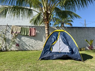Tenda de campismo montada num relvado tropical sob uma palmeira num dia ensolarado. Ambiente tranquilo e perfeito para lazer ao ar livre.