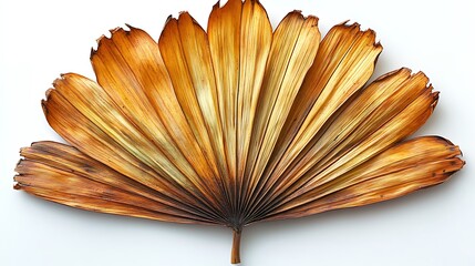 dried banana leaf