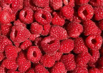 Close-up of fresh ripe raspberries with rich red color and natural texture. Ideal for food backgrounds, healthy eating concepts, or fruit-themed projects.