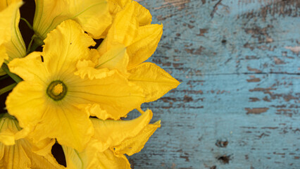Bright yellow zucchini blossoms rest on a rustic blue wooden table in a sunlit kitchen, inviting creativity for culinary delights