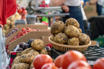 Fresh potatoes are sold at a market. Organic food. Eco products, local vegetables.