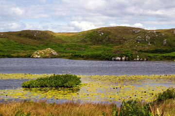 A lake among the hills