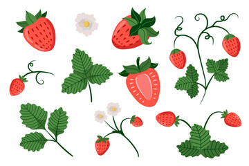 Strawberry set. Red strawberries with flowers and leaves on white background. Juicy summer berries. Vector illustration.