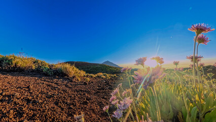 Sonnenuntergang am Teide – Ein magisches Erlebnis zwischen Mondlandschaft und Sternenhimmel