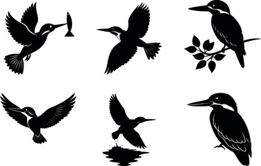Obraz premium Various kingfisher poses in black and white silhouette vector illustration